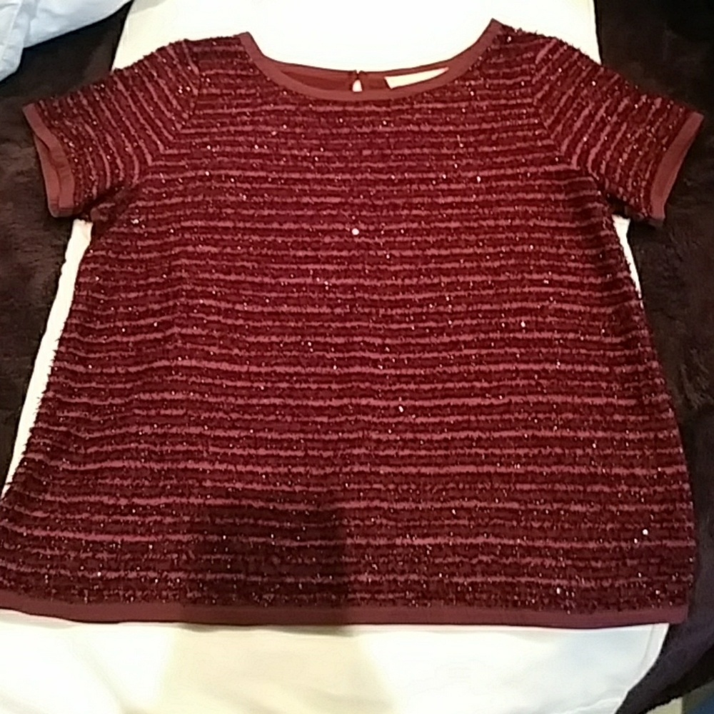 Ann Taylor Loft Top
